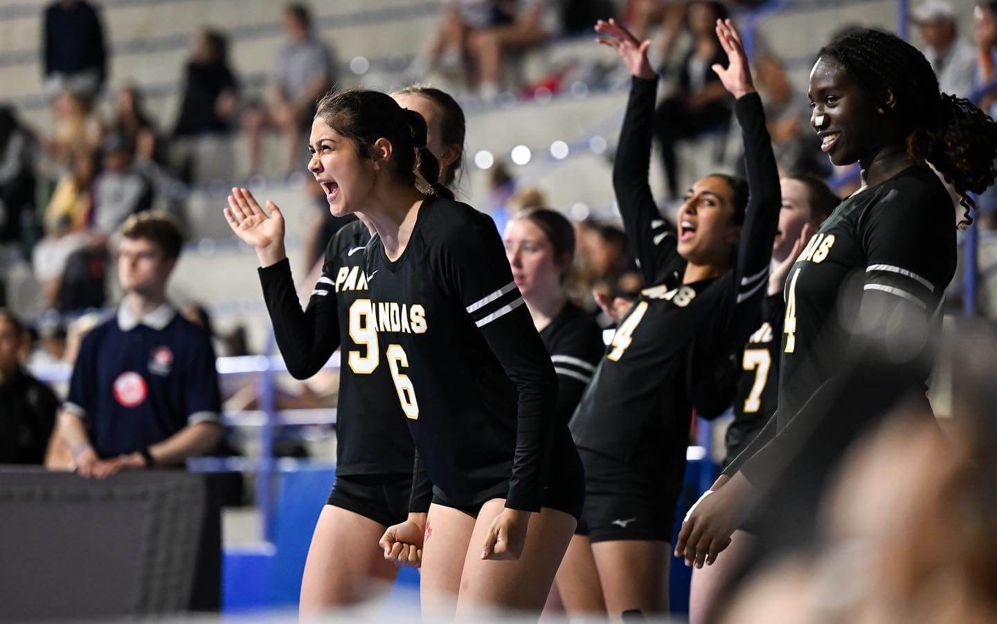 Regina Youth Volleyball