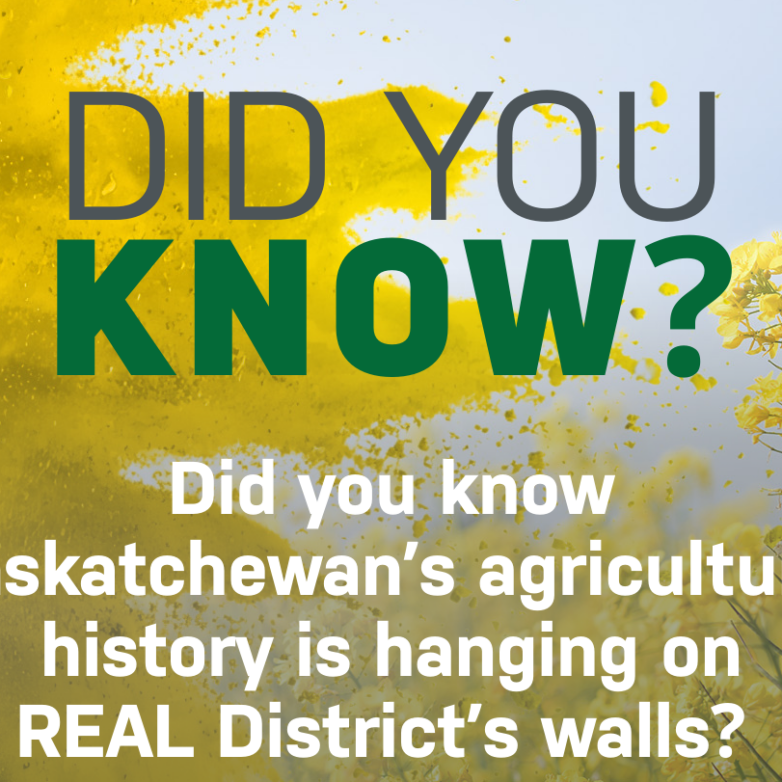 Did you know Saskatchewan’s agricultural history is hanging on REAL District’s walls? 